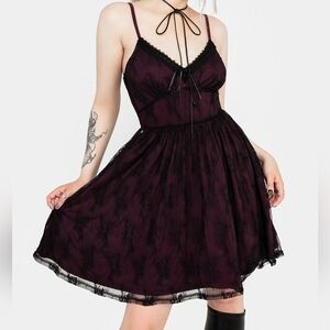 Disturbia Anastasie Stretch Lace Mini Dress